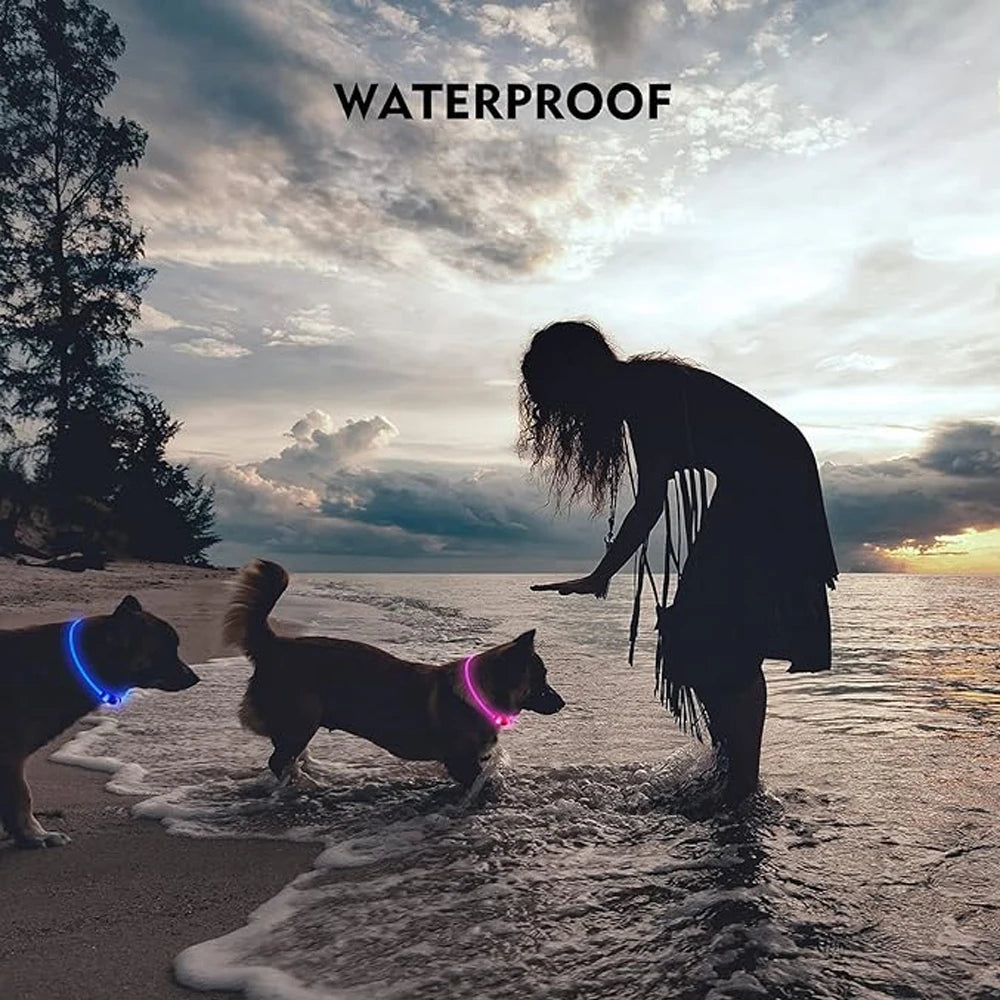 Elor ® Led Dog Collar