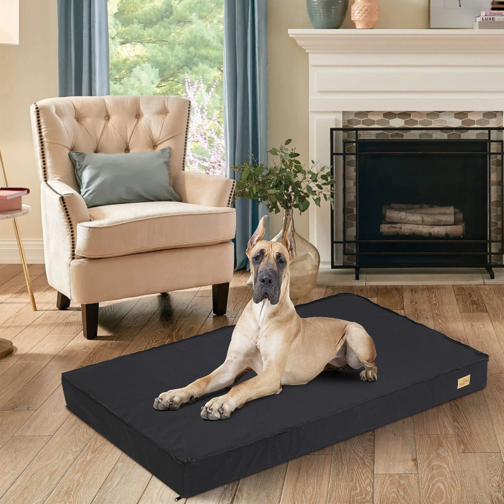 Elor ® Orthopedic Dog Bed for Medium & Large Dogs