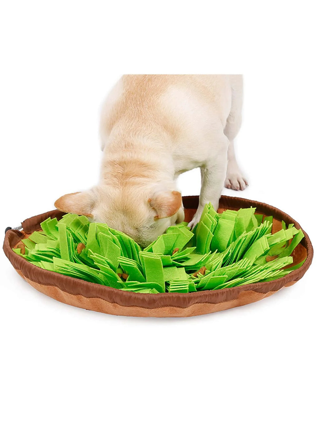 Elor ® Paws Pet Snuffle Mat
