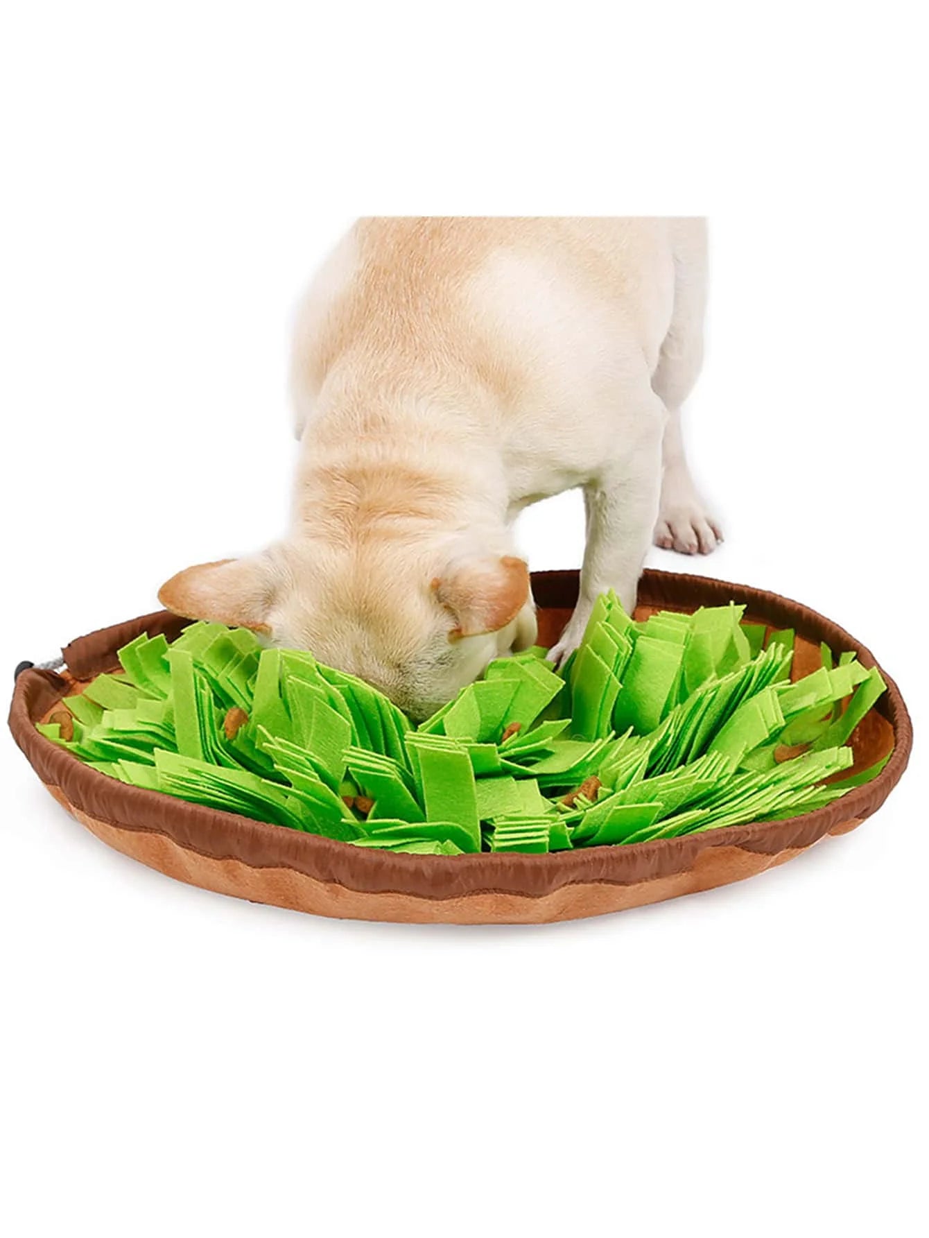 Pet Snuffle Mat