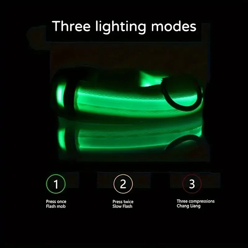 Elor ® Nylon LED Night  Leash