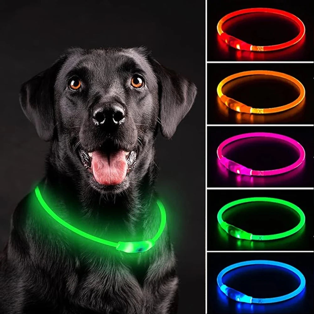 Elor ® Led Dog Collar