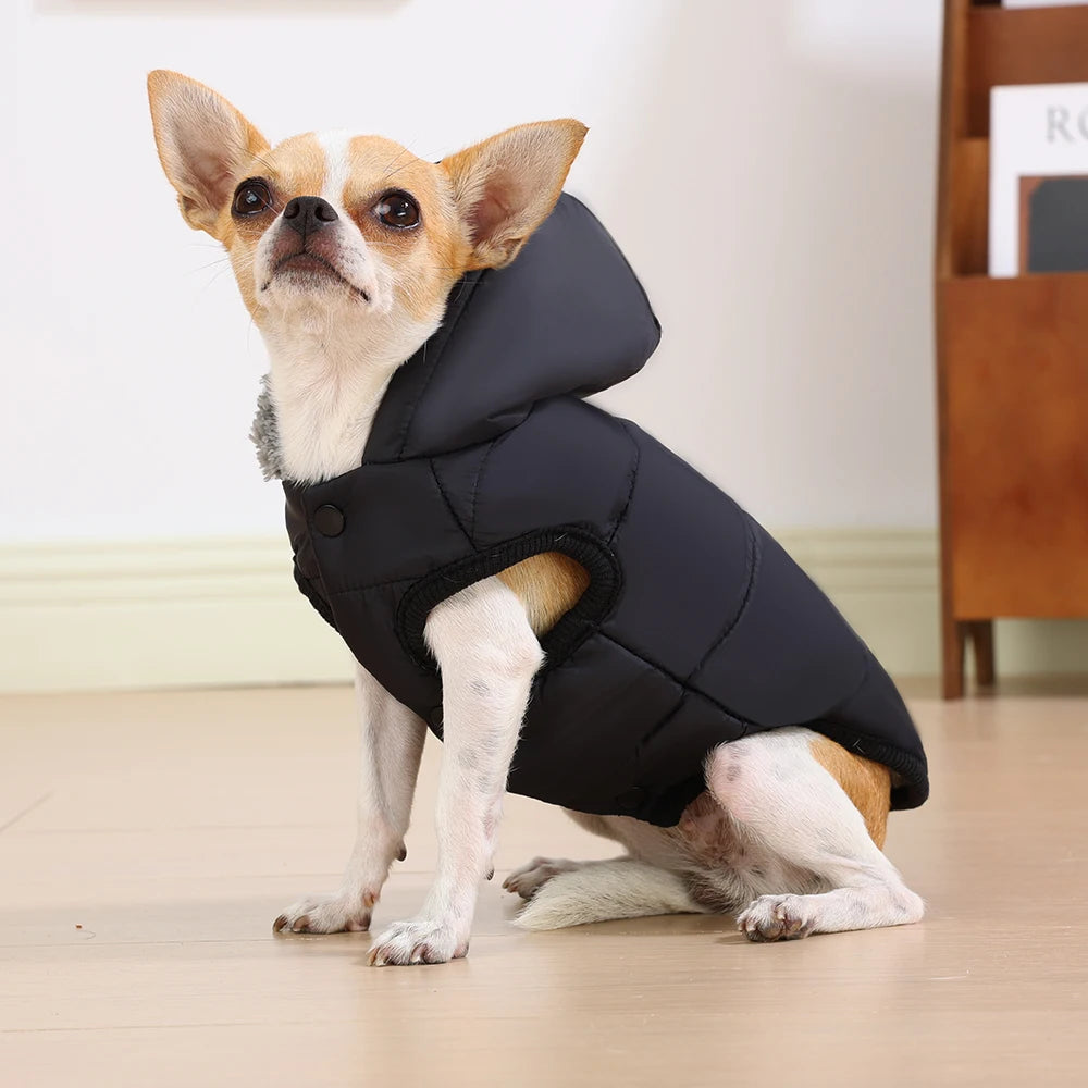 Elor ® Dog Winter Clothes