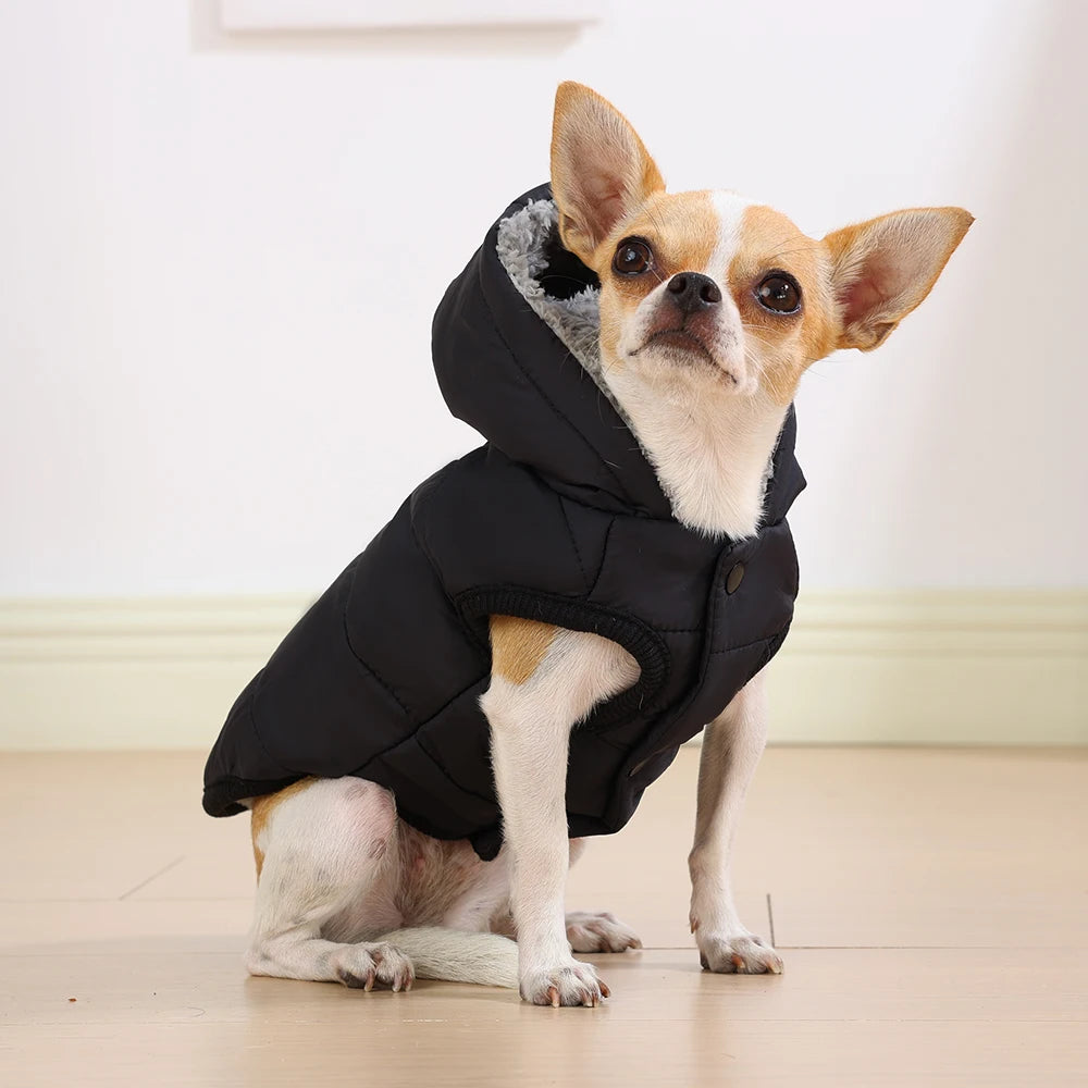Elor ® Dog Winter Clothes