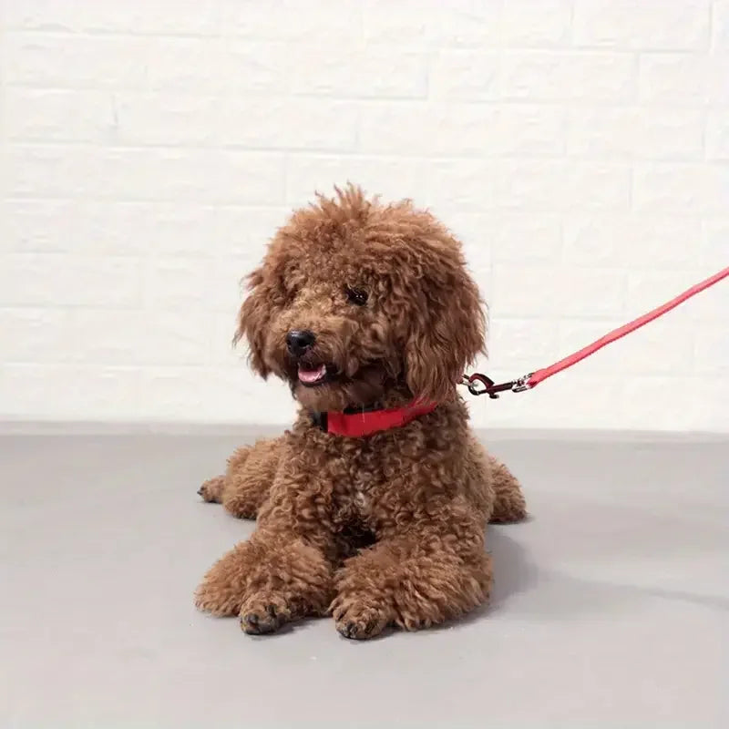 Elor ® Nylon LED Night  Leash