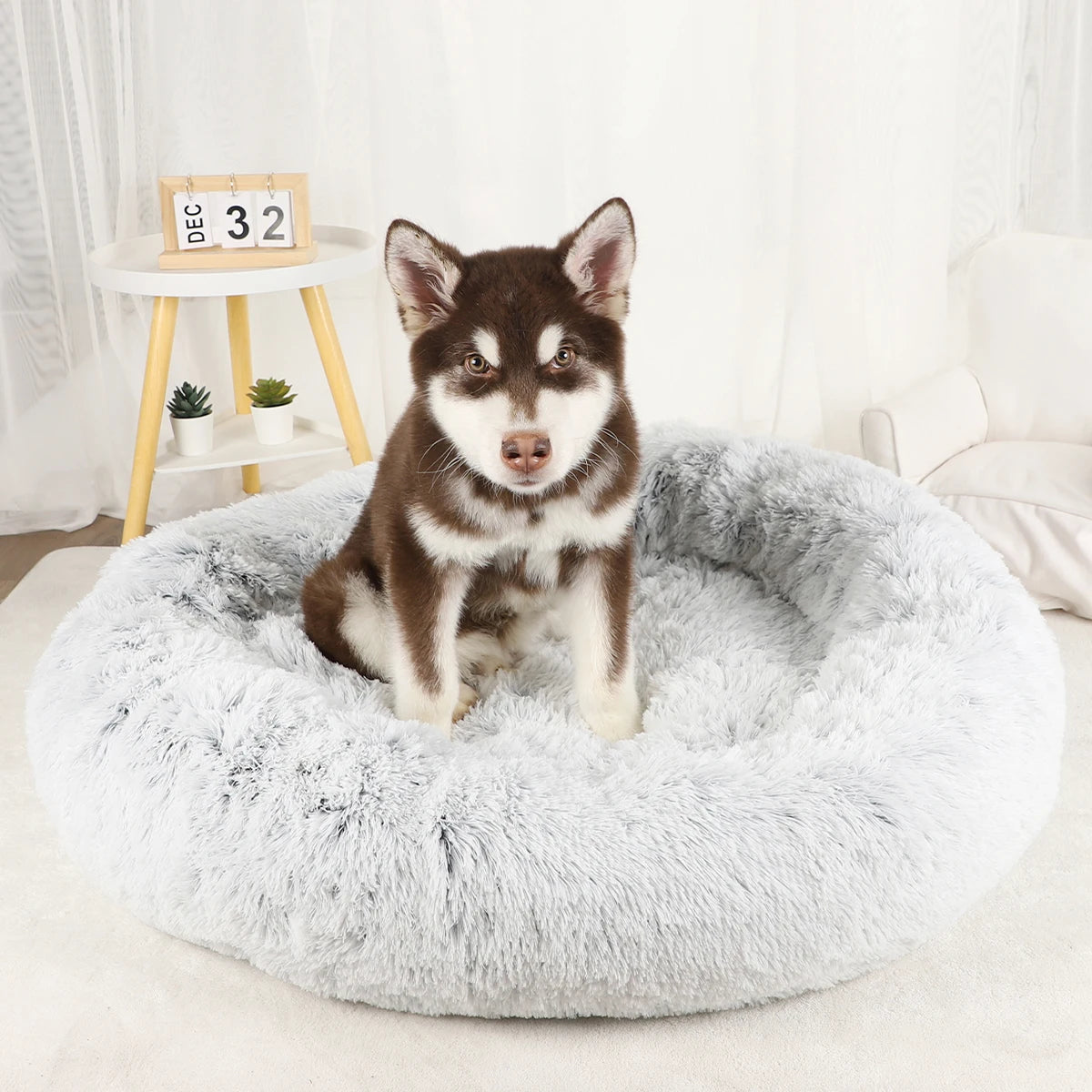 Dog Bed Donut Big Large Round Basket Winter Plush Beds for Dogs Medium Accessories Fluffy Kennel Small Puppy Pets Cat Products