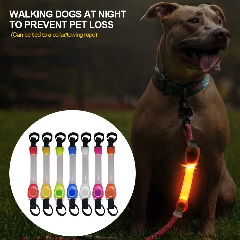 Elor ® LED Glowing Pet Safety Strip