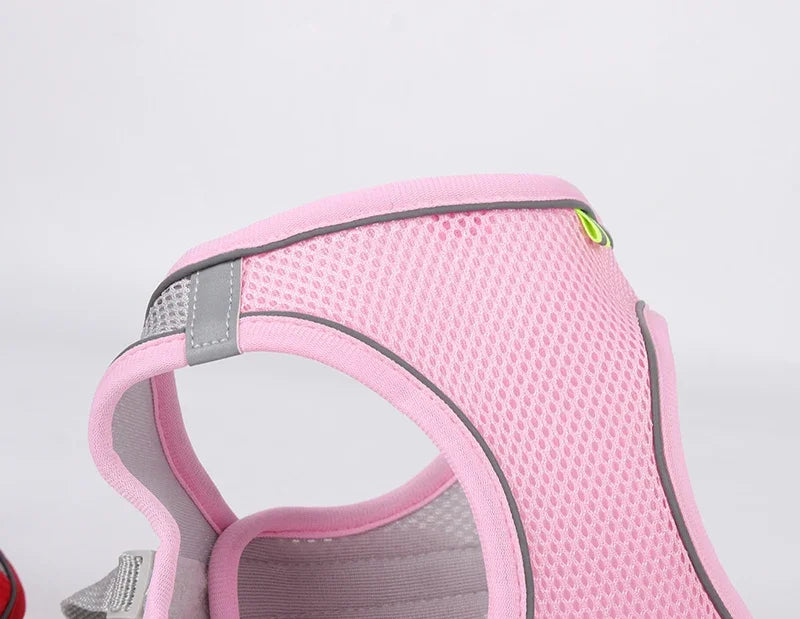 Elor ® Adjustable Puppy & Cat Harness Set