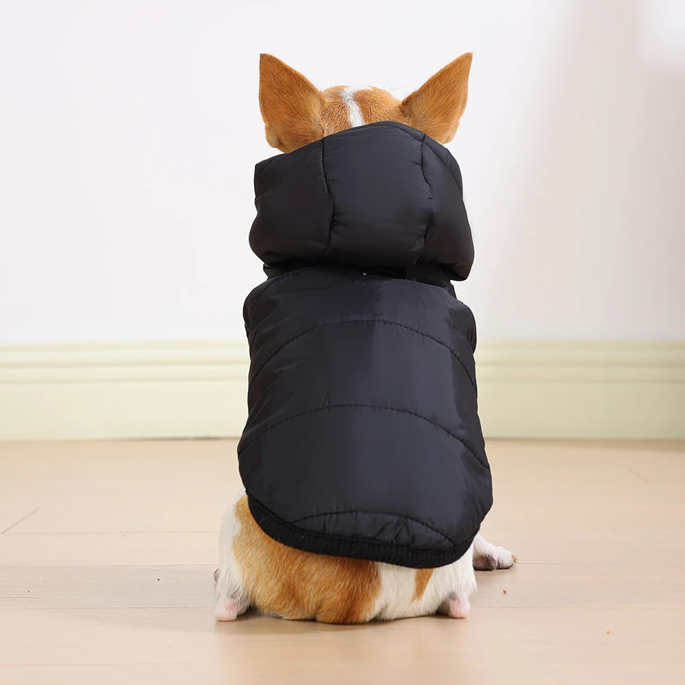 Elor ® Dog Winter Clothes