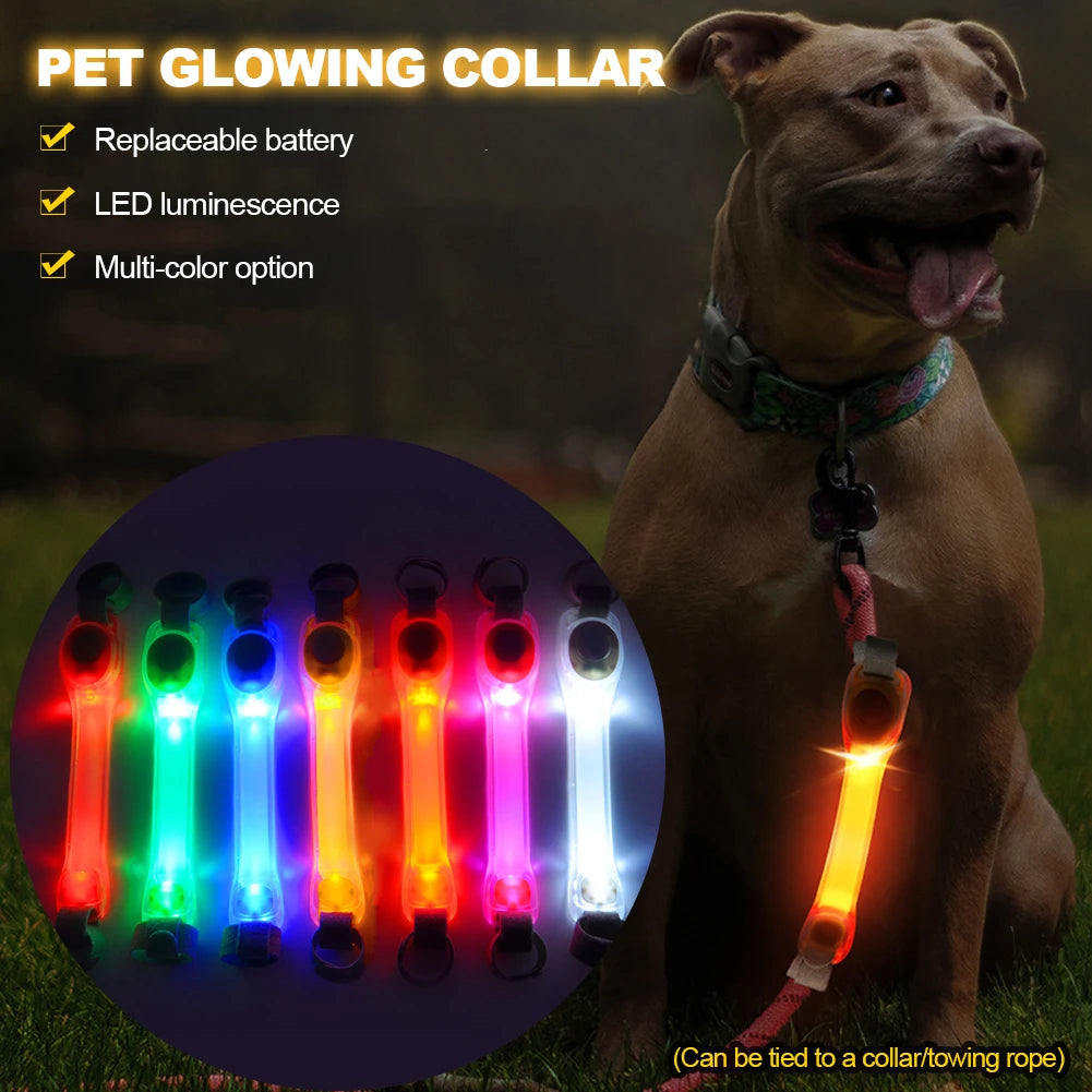 Elor ® LED Glowing Pet Safety Strip