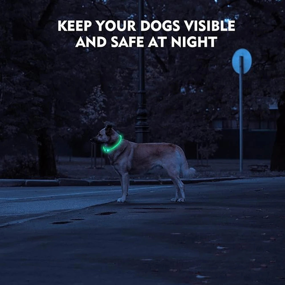 Elor ® Led Dog Collar