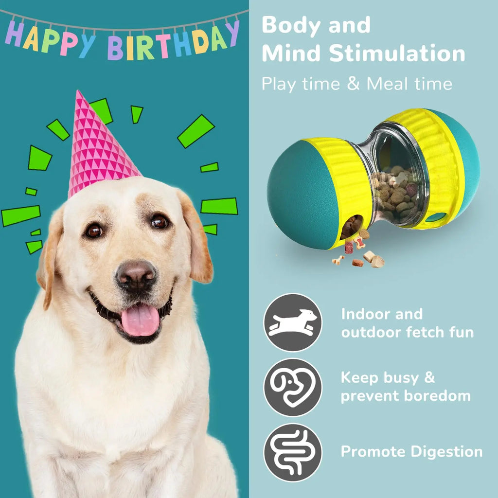 Dog Puzzle Toy Elliptical Track Rolling Increase Intelligence Ball Leaky Food Develop Good Habits Durable Interactive Pet Toys