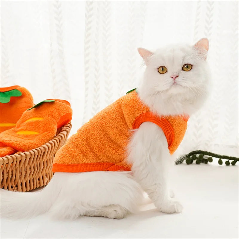 Elor ® Winter Warm Coats