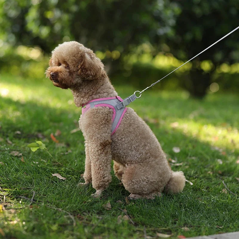 Elor ® Adjustable Puppy & Cat Harness Set
