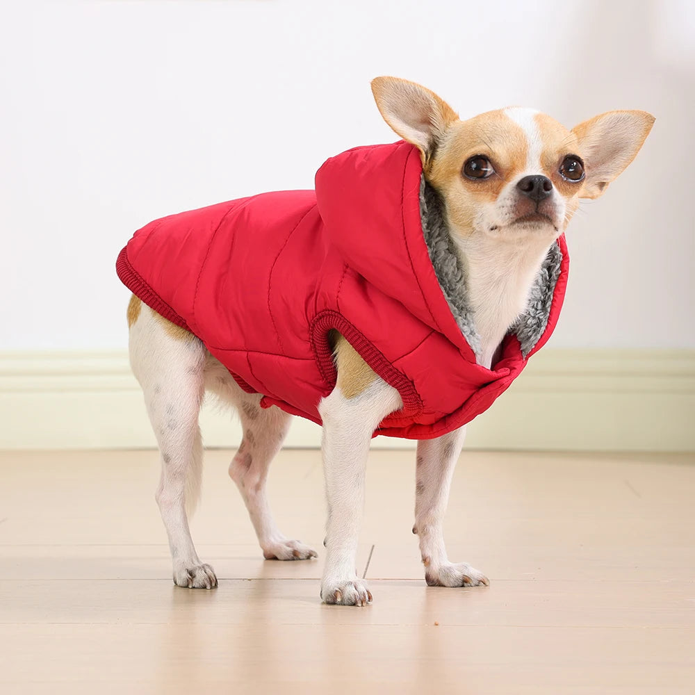 Elor ® Dog Winter Clothes