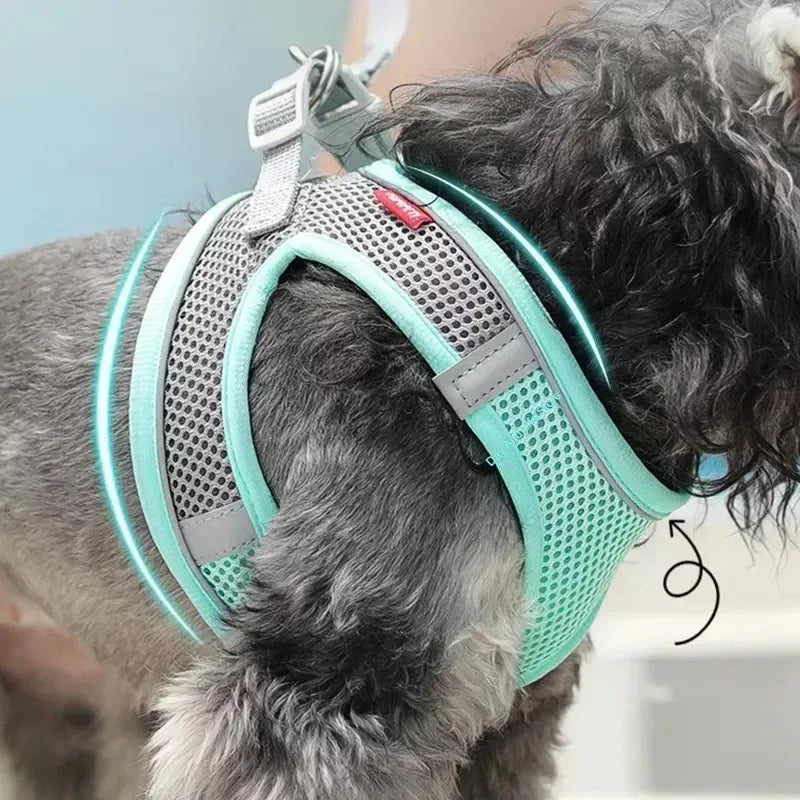 Elor ® Adjustable Puppy & Cat Harness Set