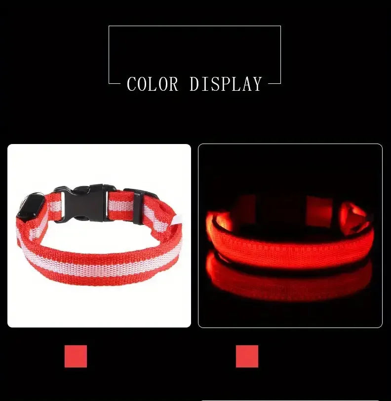 Elor ® Nylon LED Night  Leash