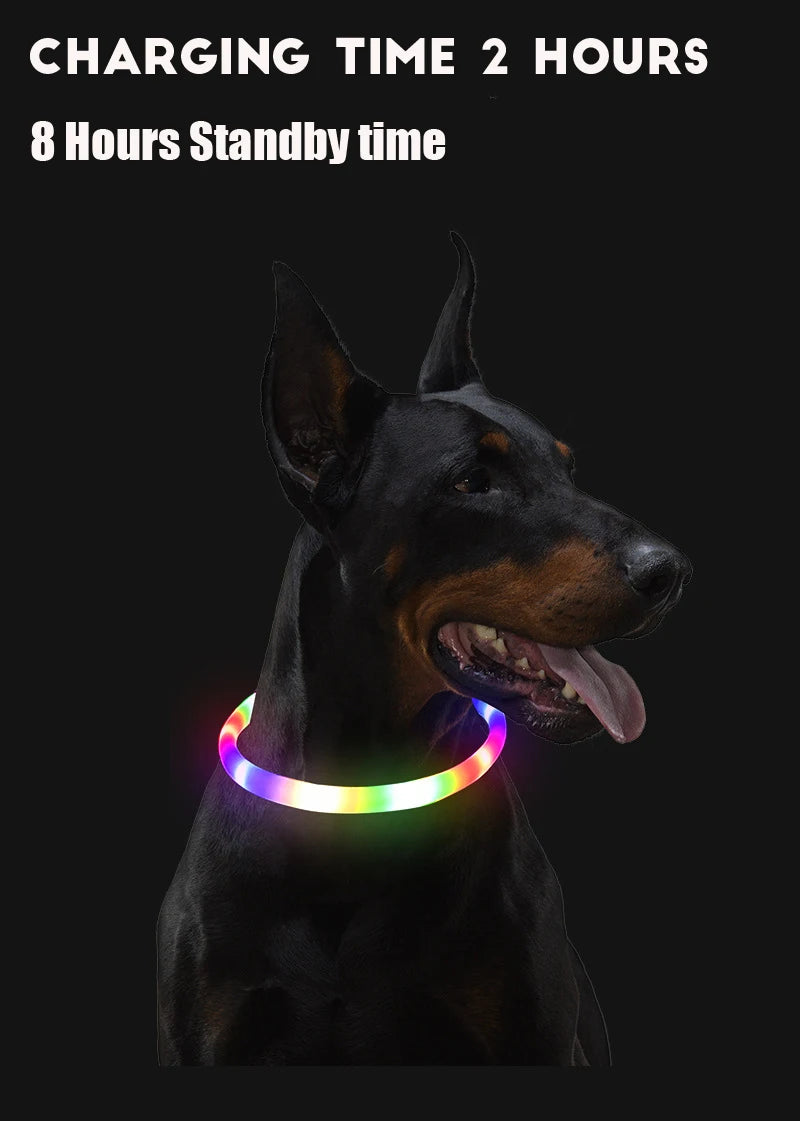 Elor ® Led Dog Collar