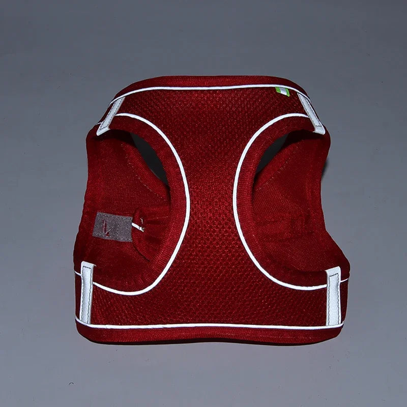 Elor ® Adjustable Puppy & Cat Harness Set