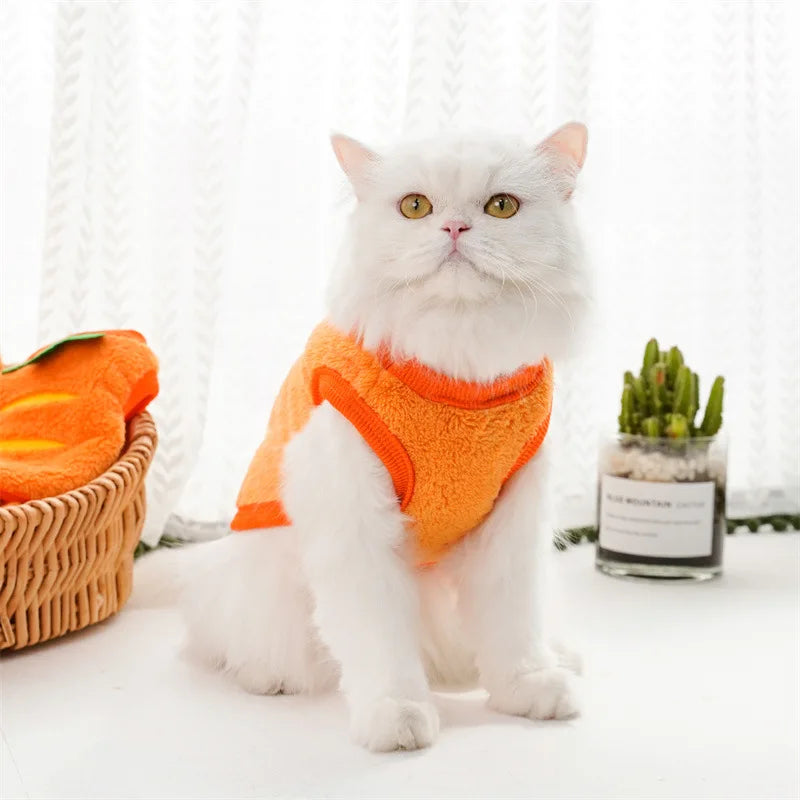 Elor ® Winter Warm Coats