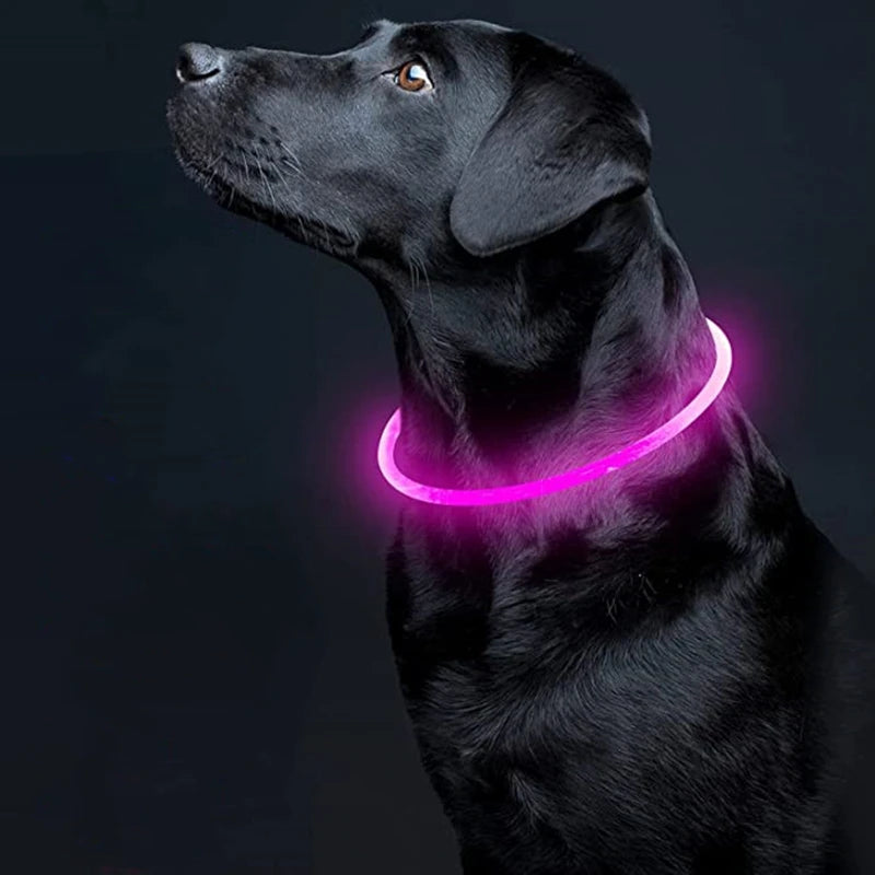 Elor ® Led Dog Collar