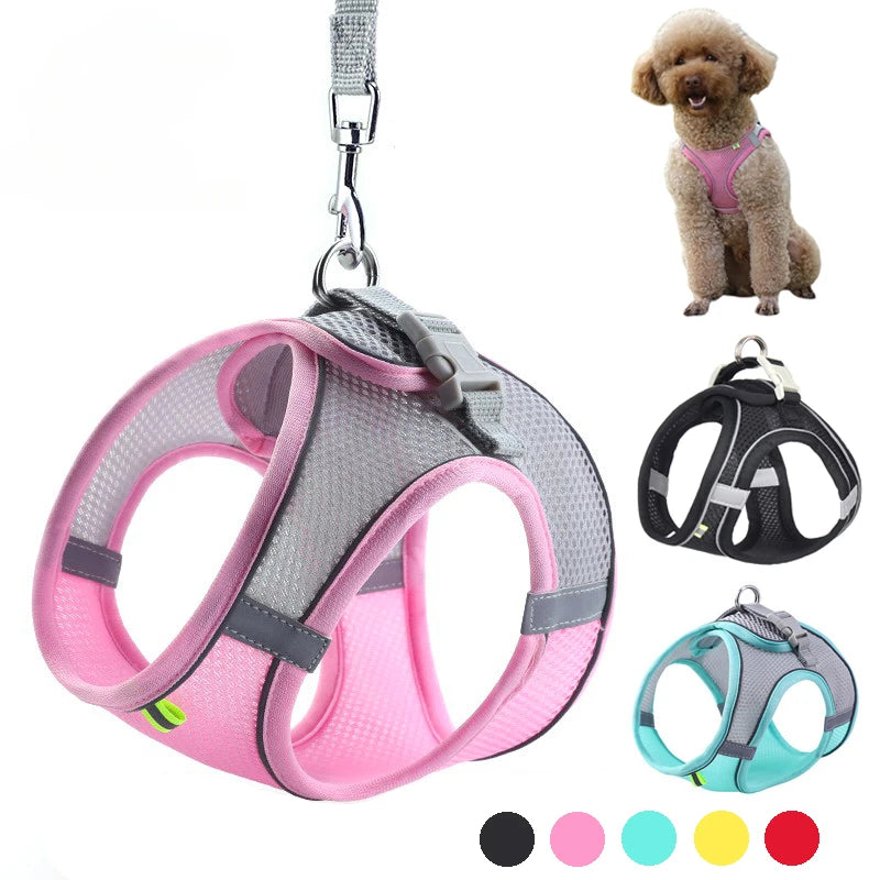 Elor ® Adjustable Puppy & Cat Harness Set