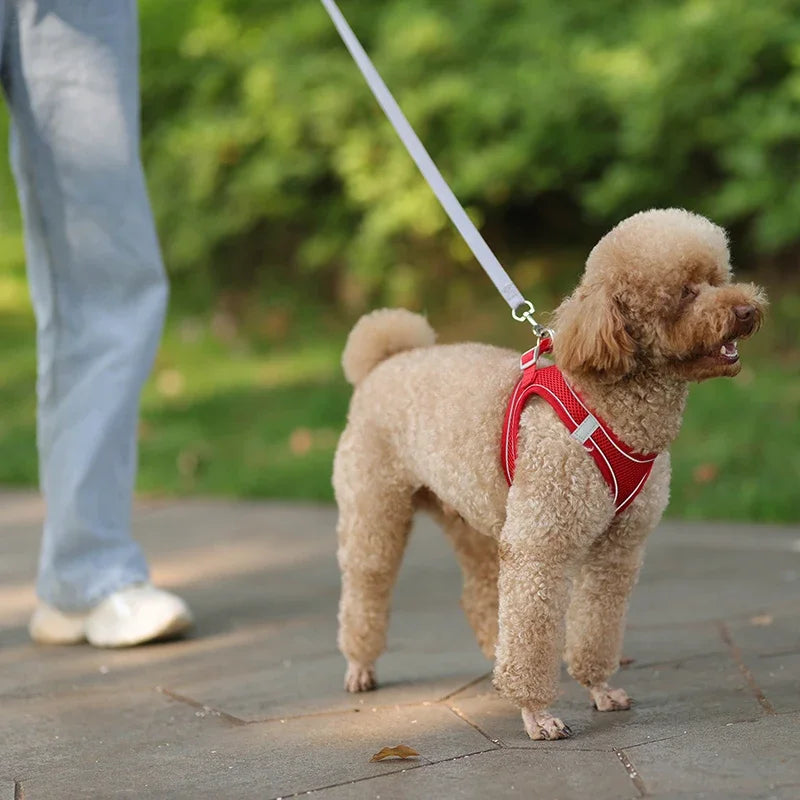 Elor ® Adjustable Puppy & Cat Harness Set