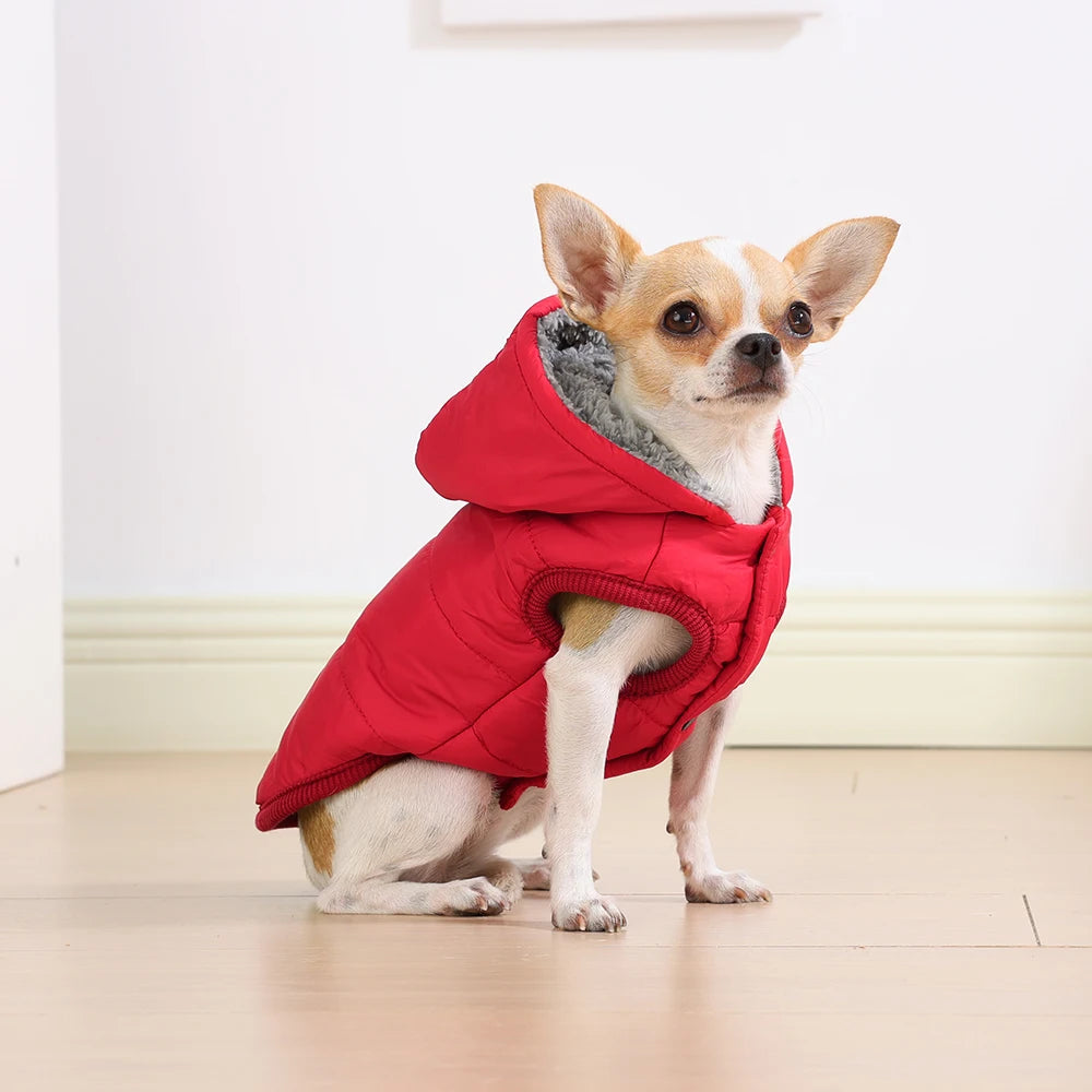 Elor ® Dog Winter Clothes