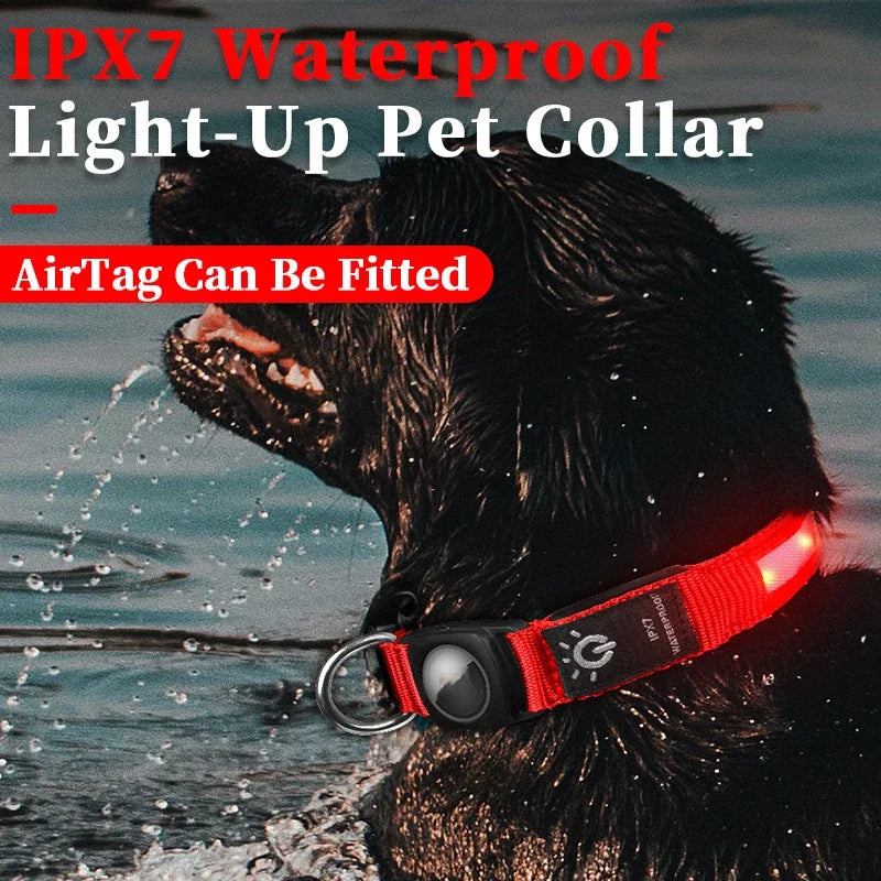 Waterproof LED Pet Luminous Collar Cat Collar