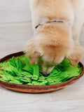 Elor ® Paws Pet Snuffle Mat
