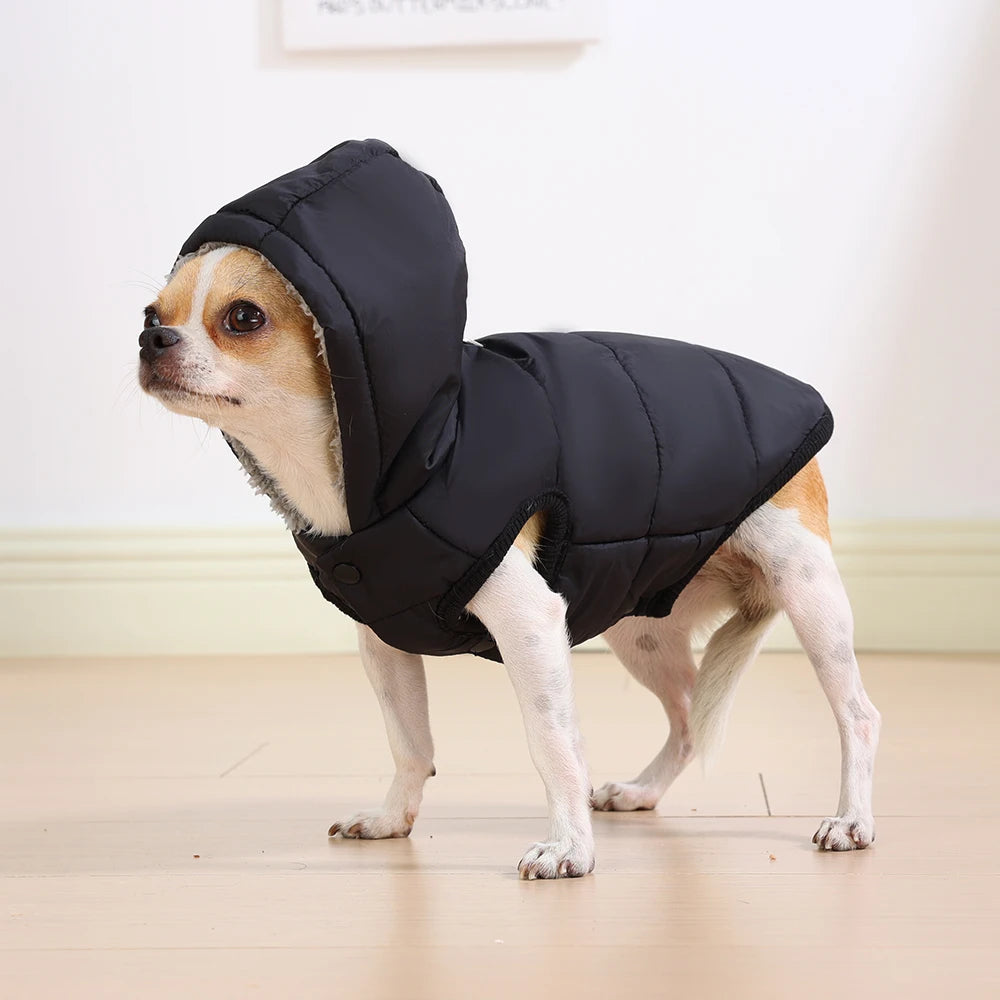 Elor ® Dog Winter Clothes