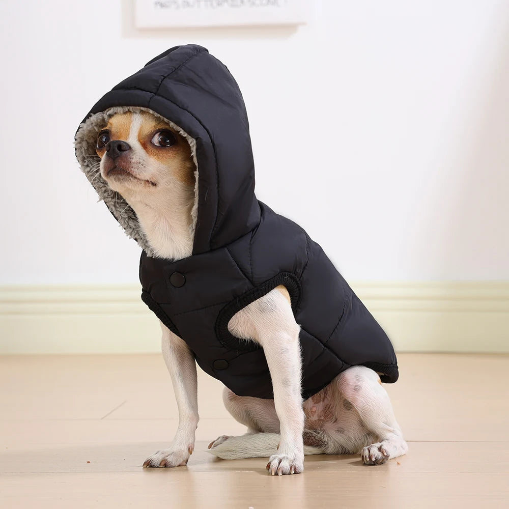 Elor ® Dog Winter Clothes