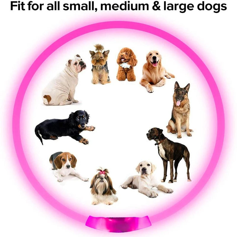 Elor ® Led Dog Collar