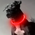 Elor ® Pet Dog LED Light Collar