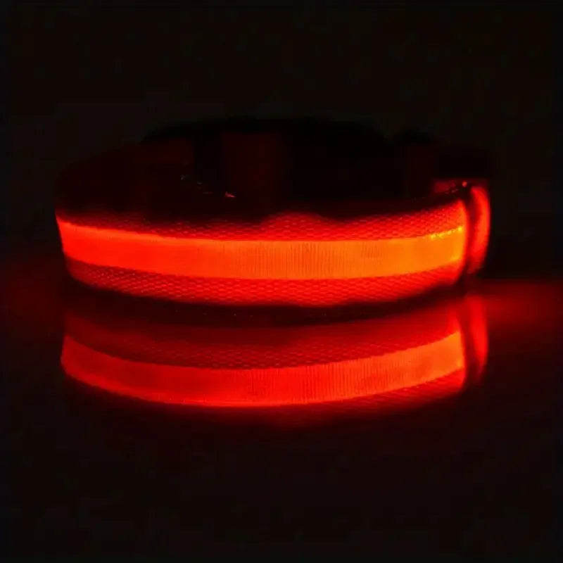Elor ® Nylon LED Night  Leash