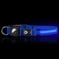Waterproof LED Pet Luminous Collar Cat Collar