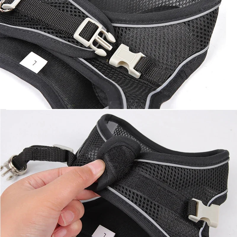Elor ® Adjustable Puppy & Cat Harness Set