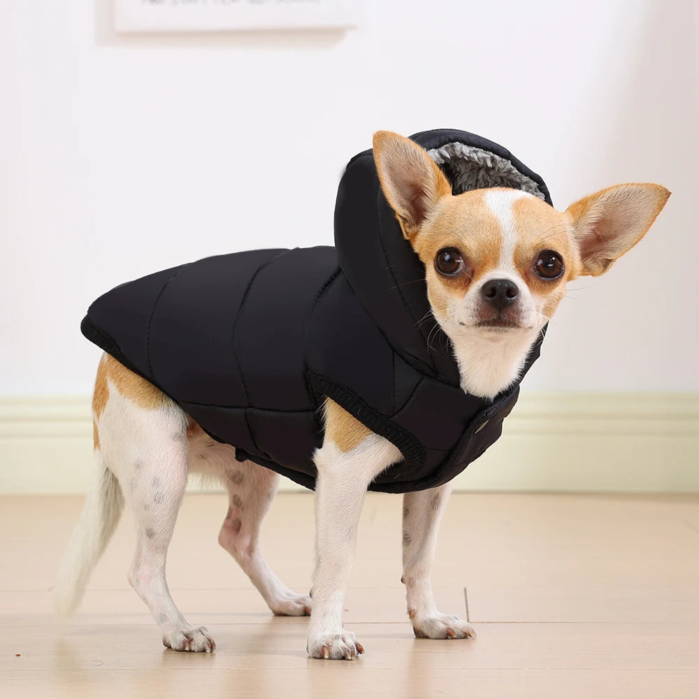 Elor ® Dog Winter Clothes