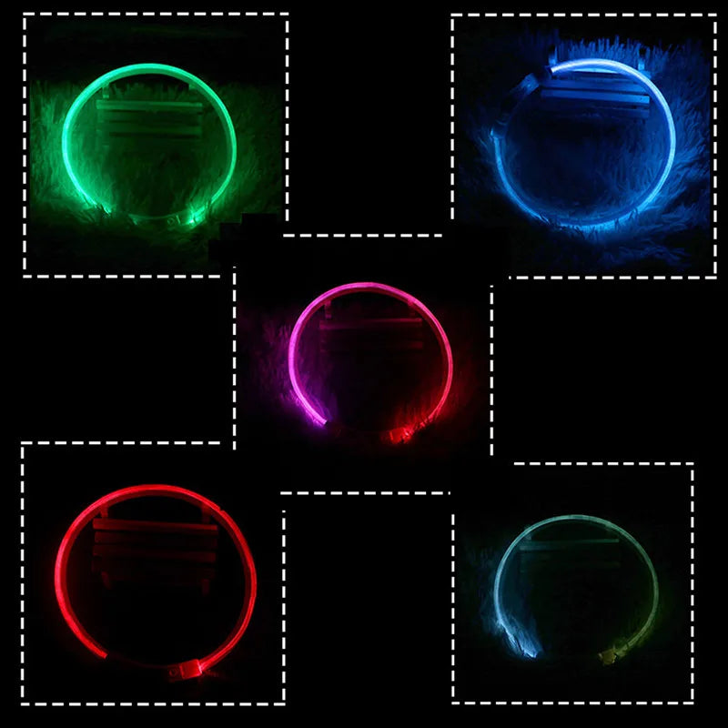 Elor ® Led Dog Collar