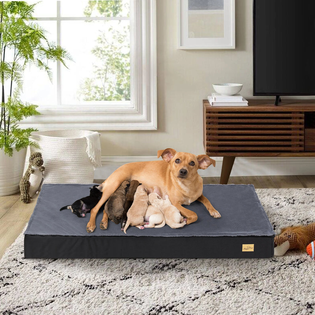 Elor ® Orthopedic Dog Bed for Medium & Large Dogs