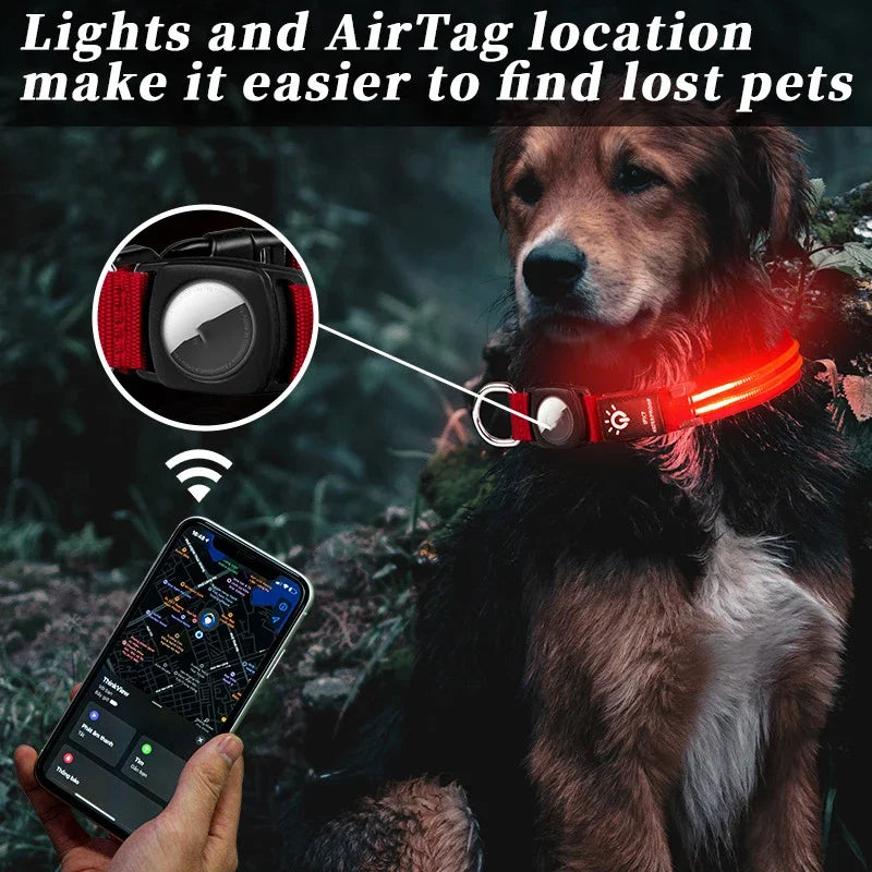 Waterproof LED Pet Luminous Collar Cat Collar