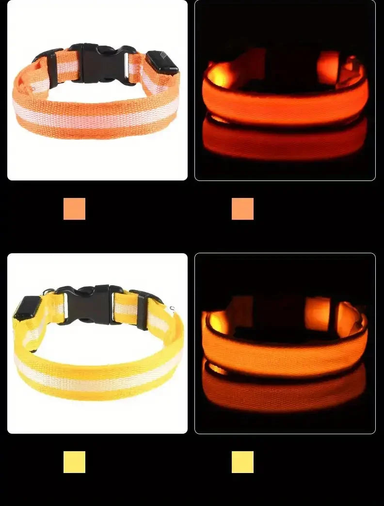 Elor ® Nylon LED Night  Leash