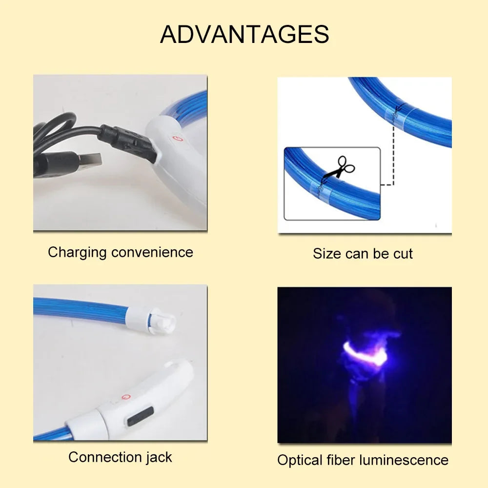 Elor ® Led Dog Collar