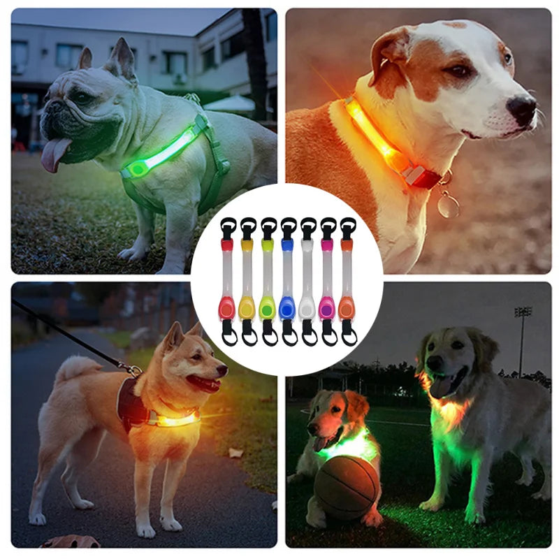 Elor ® LED Glowing Pet Safety Strip
