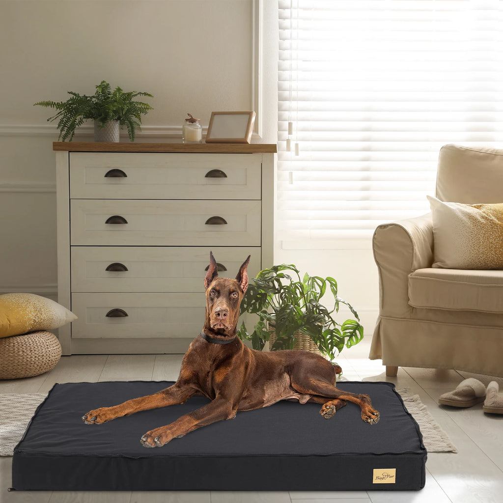 Elor ® Orthopedic Dog Bed for Medium & Large Dogs