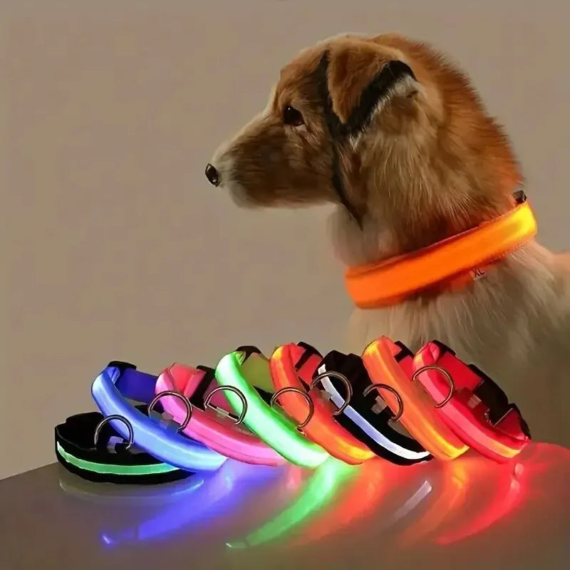 Elor ® Nylon LED Night  Leash