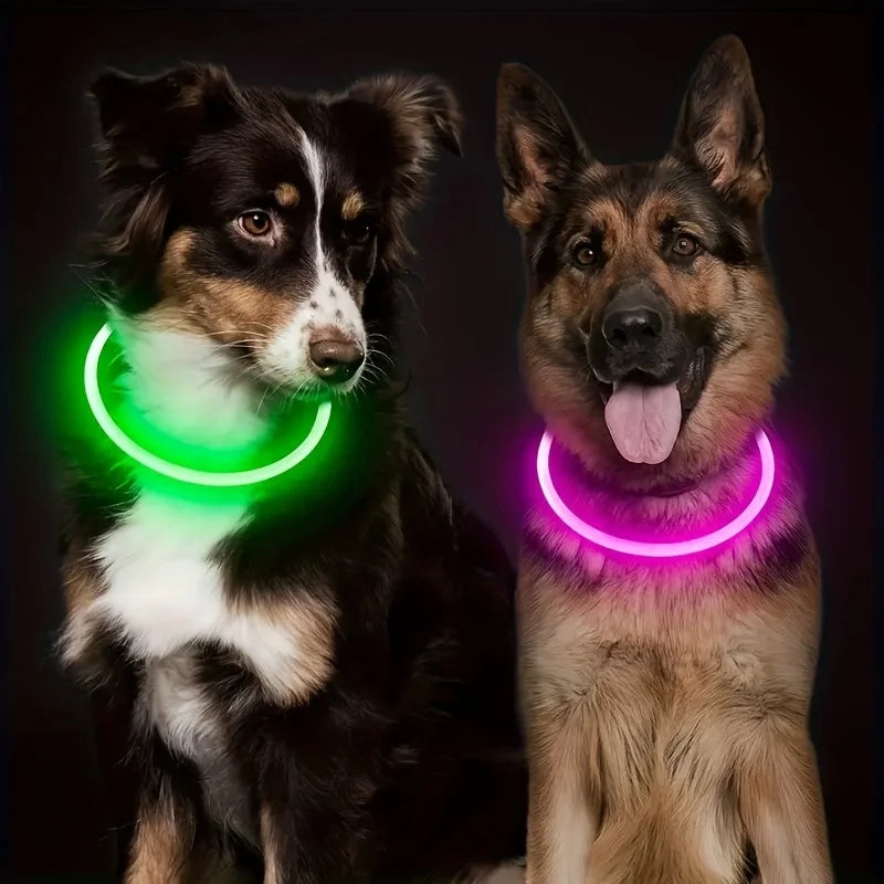 Elor ® Pet Dog LED Light Collar