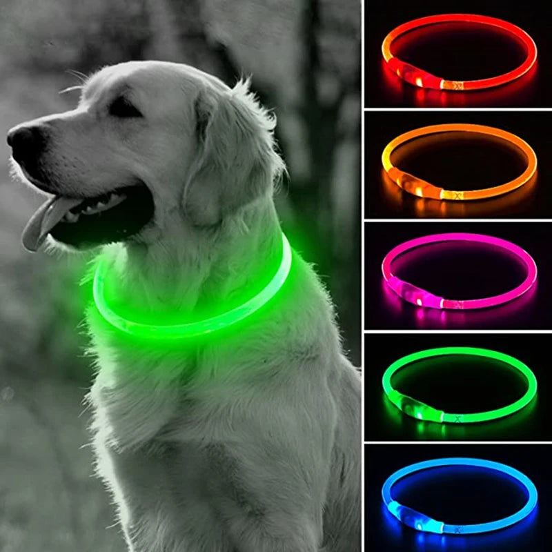 Elor ® Led Dog Collar