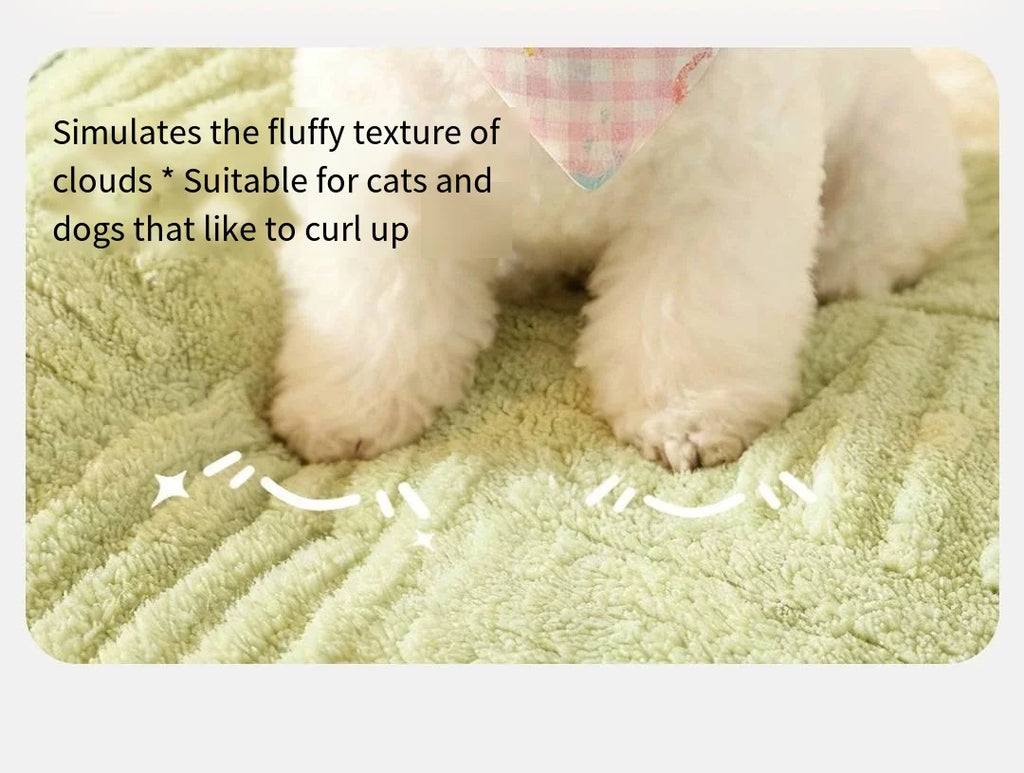 Elor ® Paws All Sessional Bed