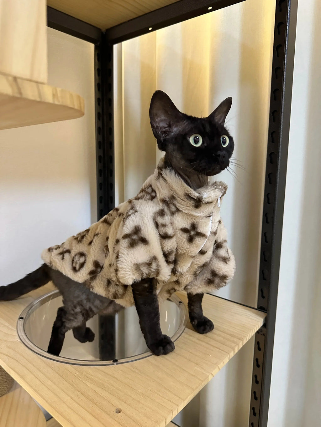 Elor ® Dog winter High-end coat